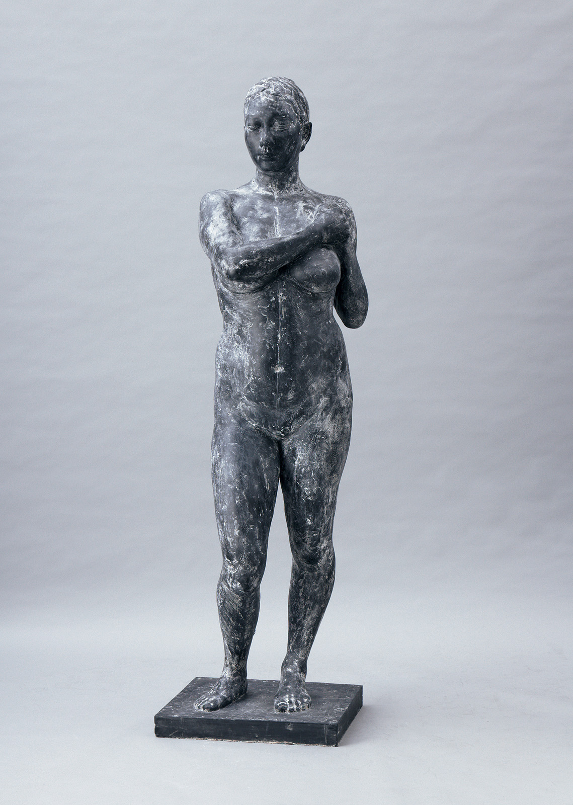 美術品 第108回 太平洋展 受賞者 | 太平洋美術会